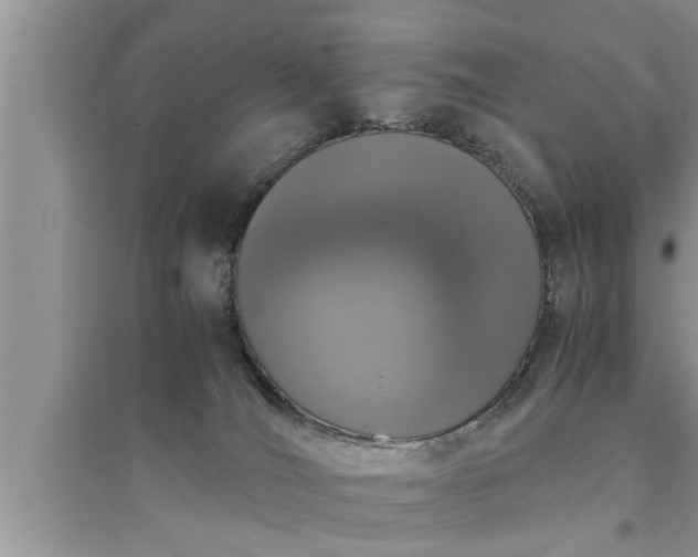 X0000095520036200712211313