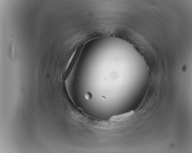 X0000095520037200712211313