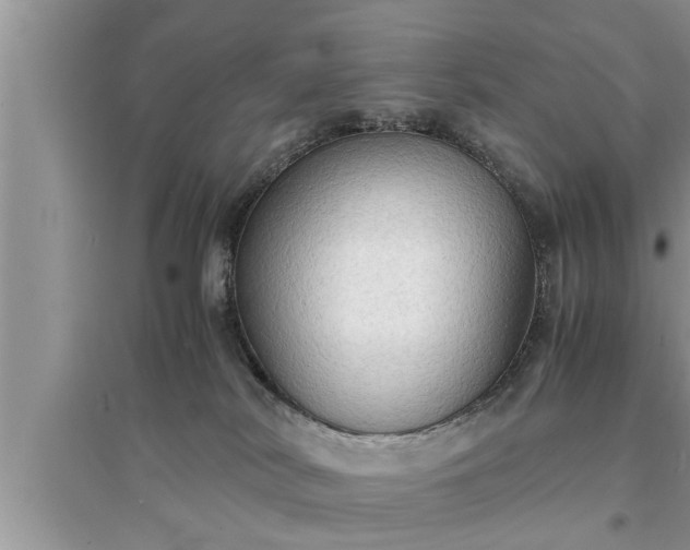 X0000095520038200712211312