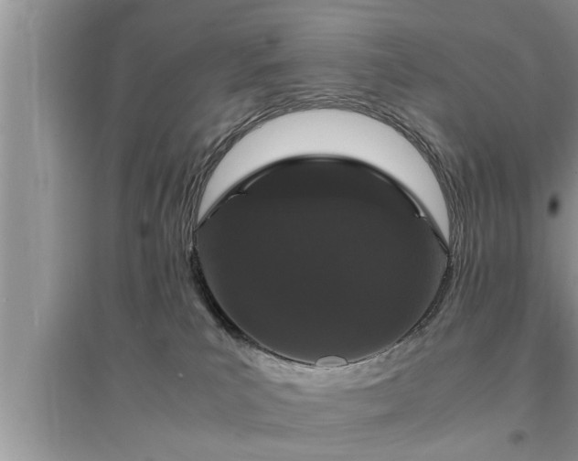 X0000095520039200712211312