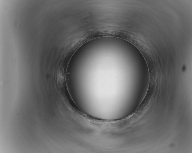 X0000095520040200712211312