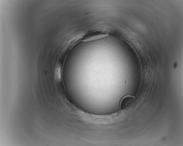 X0000095520042200712211312