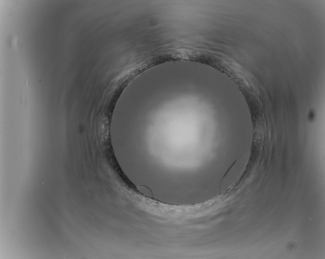 X0000095520043200712211312