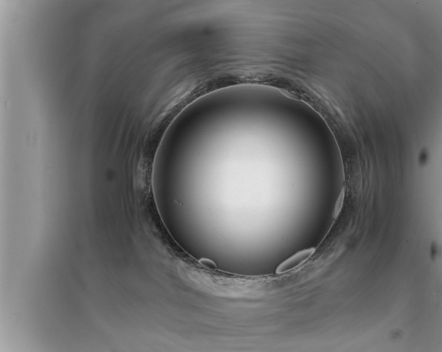 X0000095520044200712211312