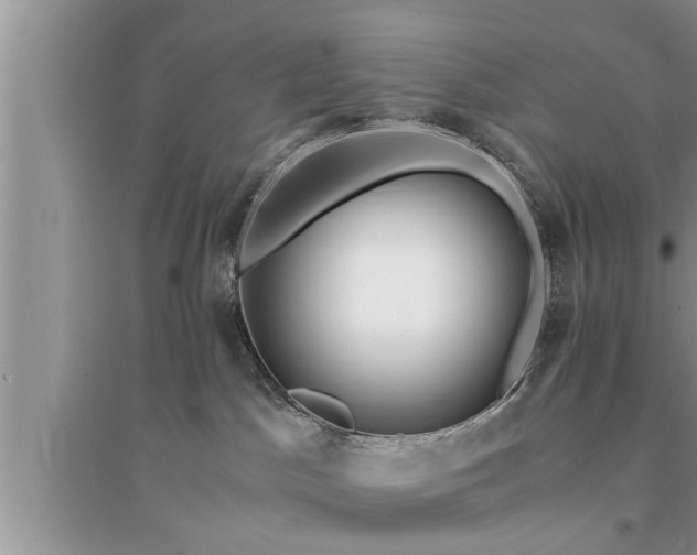 X0000095520045200712211312