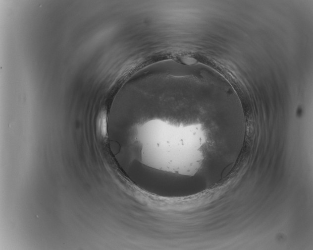 X0000095520046200712211312