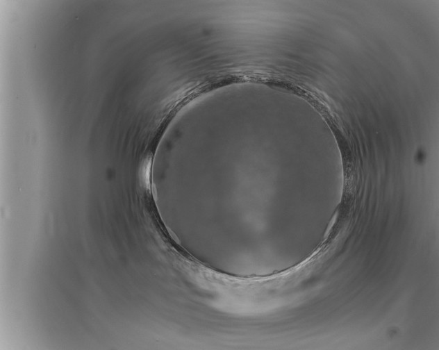 X0000095520047200712211312