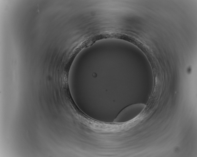 X0000095520048200712211312