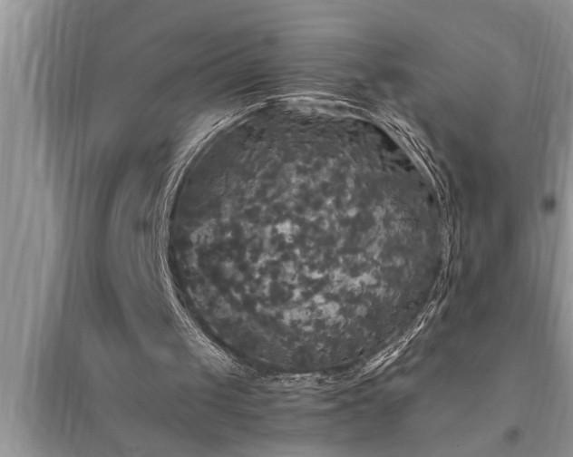 X0000095520049200712211312