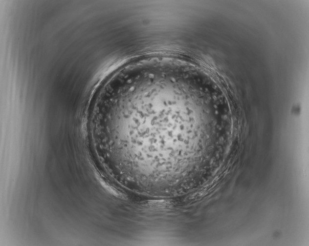 X0000095520050200712211312