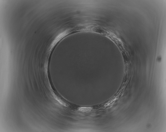 X0000095520051200712211312