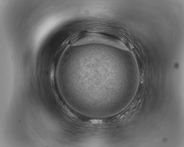 X0000095520052200712211312