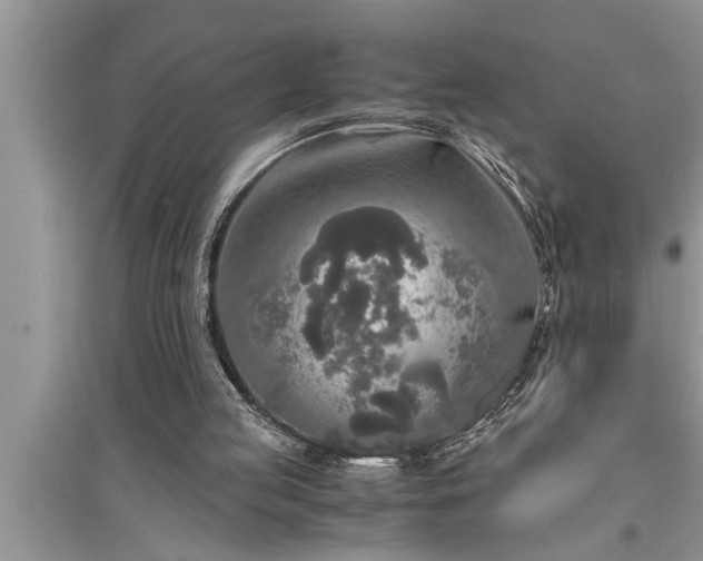 X0000095520053200712211312