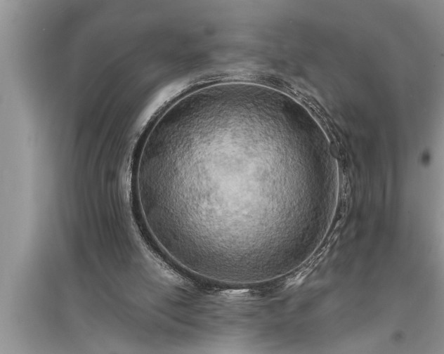 X0000095520054200712211312