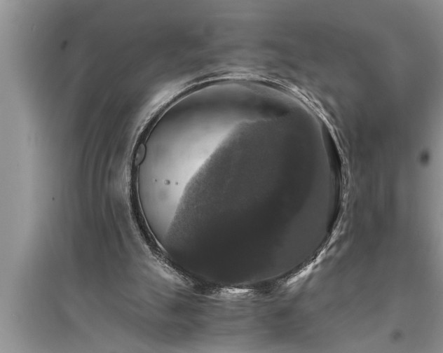 X0000095520055200712211312