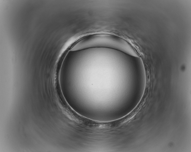 X0000095520056200712211312