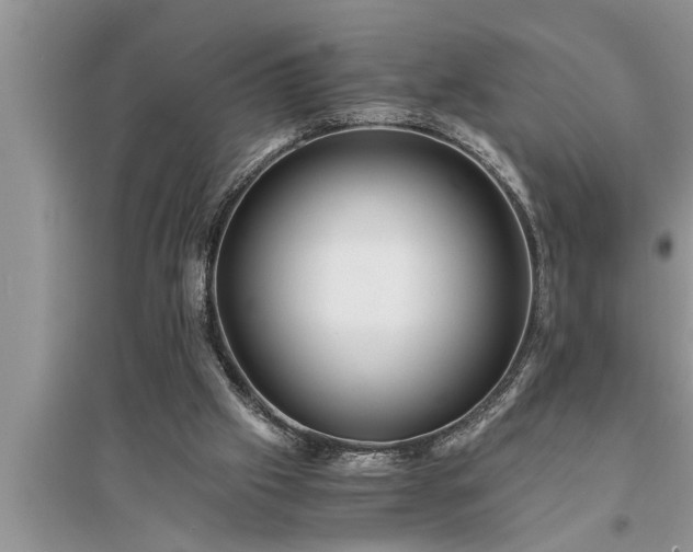 X0000095520057200712211312