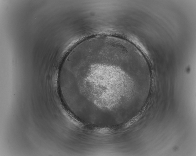 X0000095520058200712211312