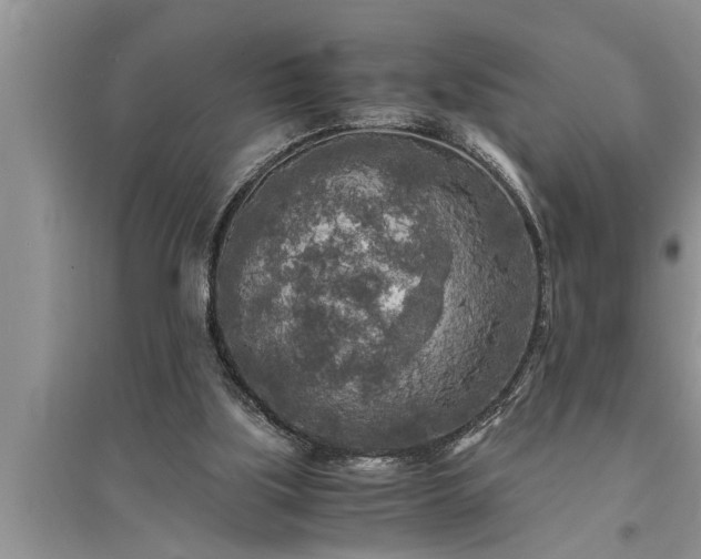 X0000095520059200712211312