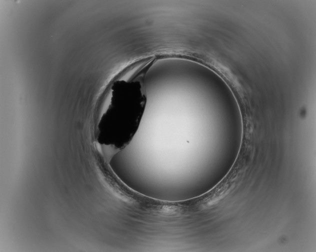 X0000095520060200712211312