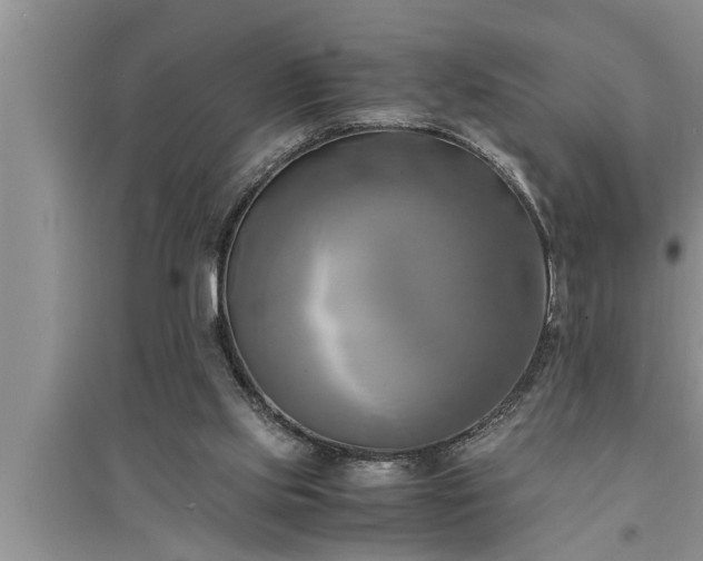 X0000095520061200712211312