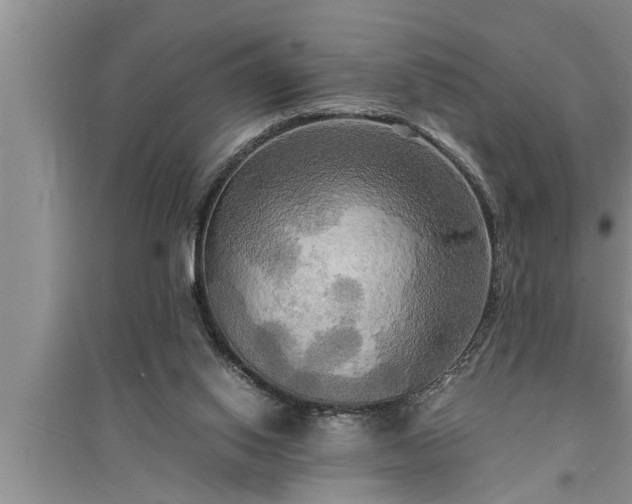 X0000095520062200712211312