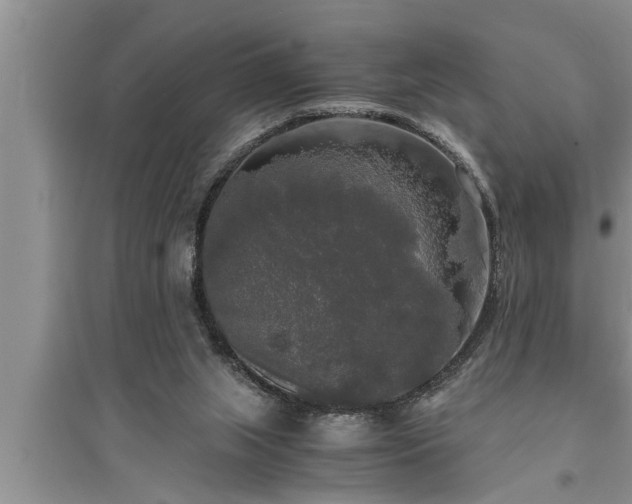 X0000095520063200712211312