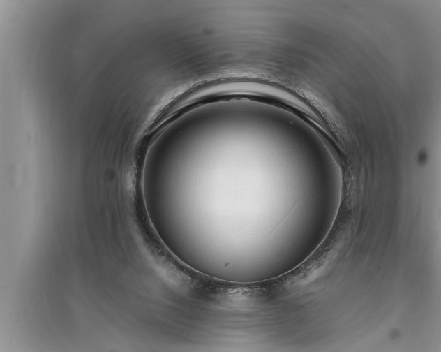 X0000095520064200712211312