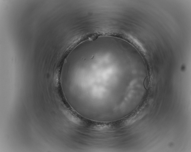 X0000095520065200712211312