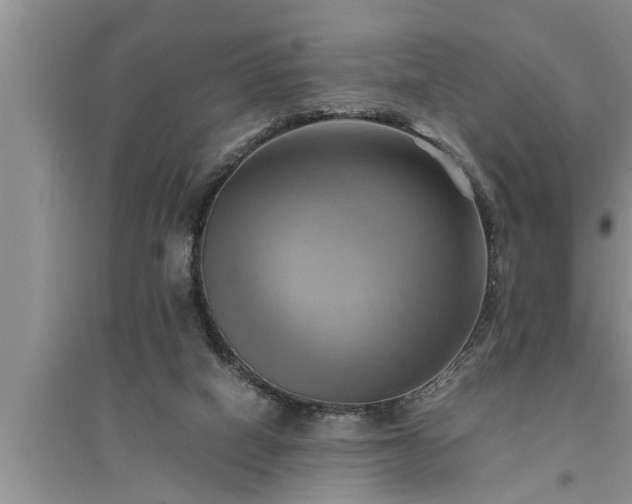 X0000095520066200712211312