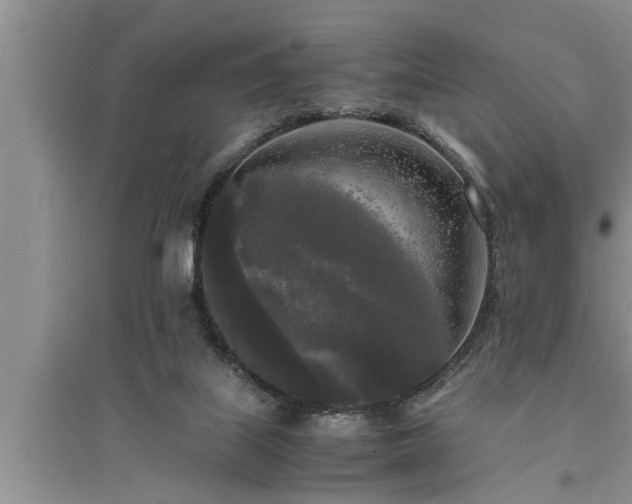 X0000095520067200712211312