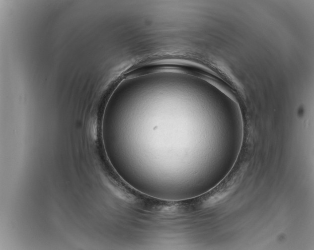 X0000095520068200712211312