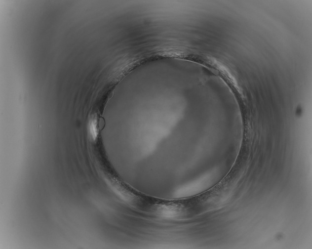 X0000095520069200712211312