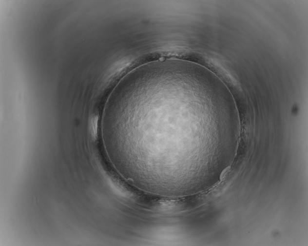 X0000095520070200712211312