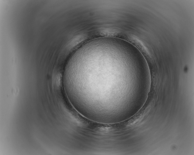 X0000095520071200712211312