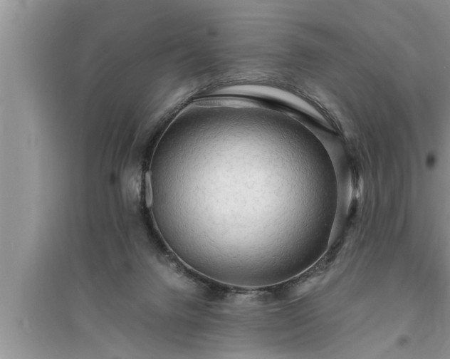 X0000095520072200712211312