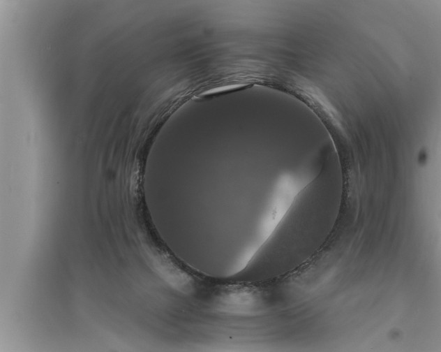 X0000095520073200712211312