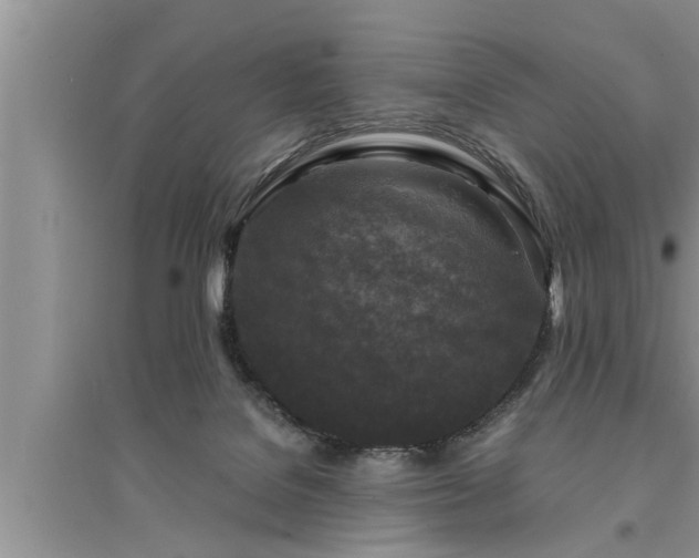 X0000095520076200712211312