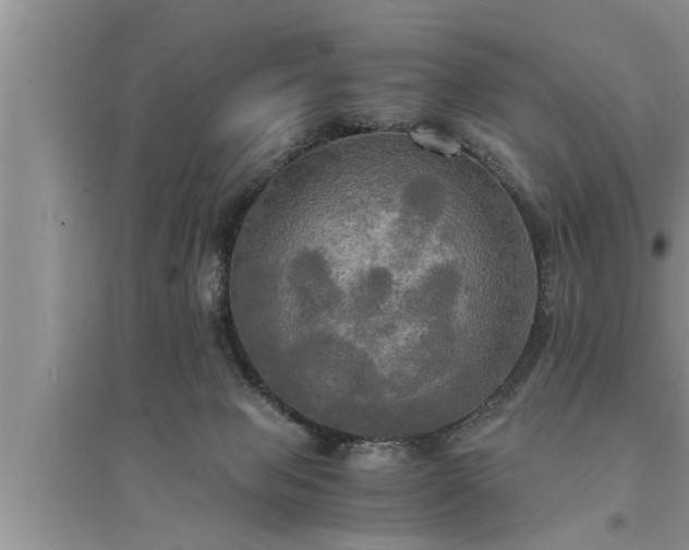 X0000095520077200712211312