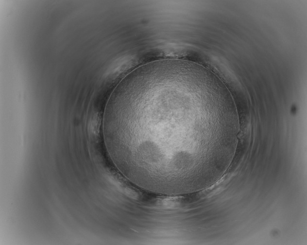 X0000095520078200712211312