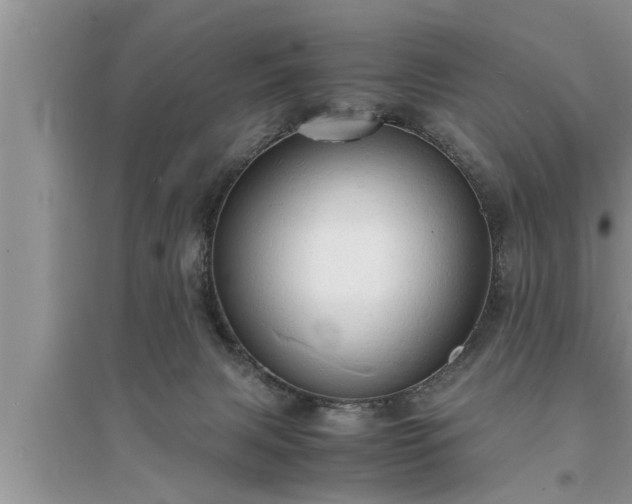 X0000095520079200712211312