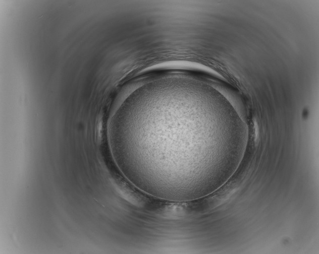 X0000095520080200712211312