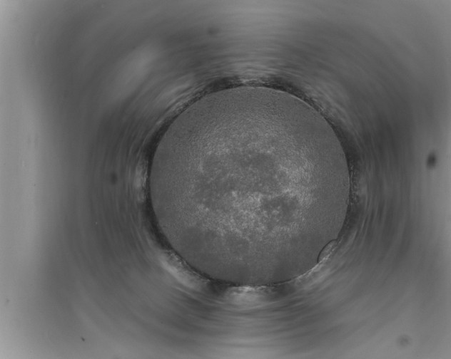 X0000095520082200712211312