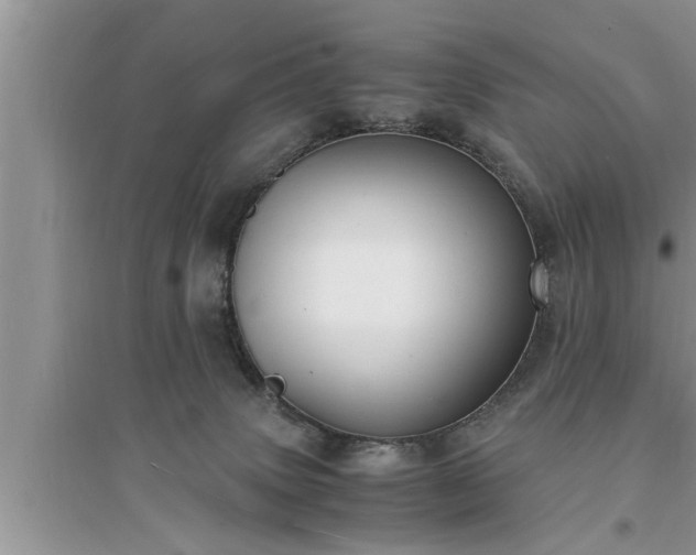 X0000095520083200712211312