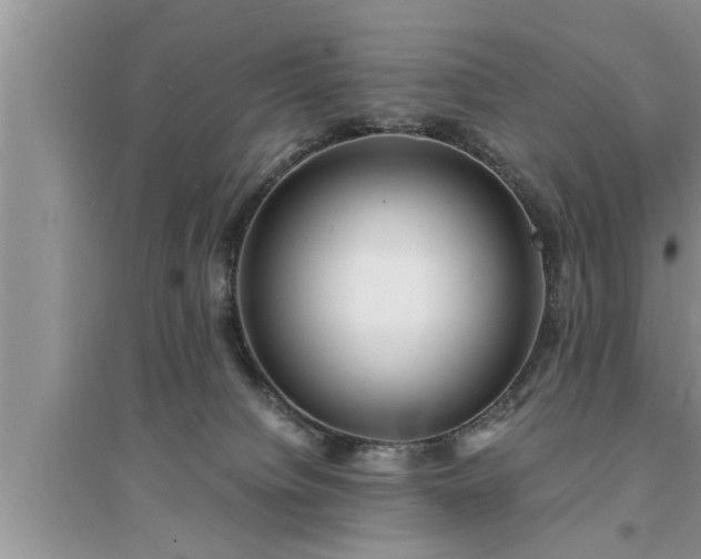 X0000095520084200712211312