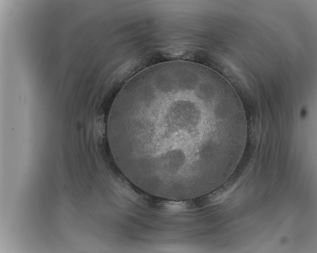 X0000095520085200712211312