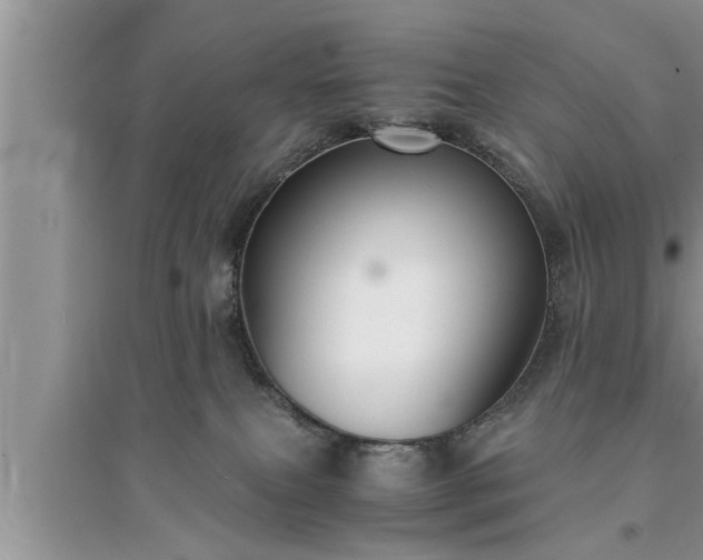 X0000095520087200712211312