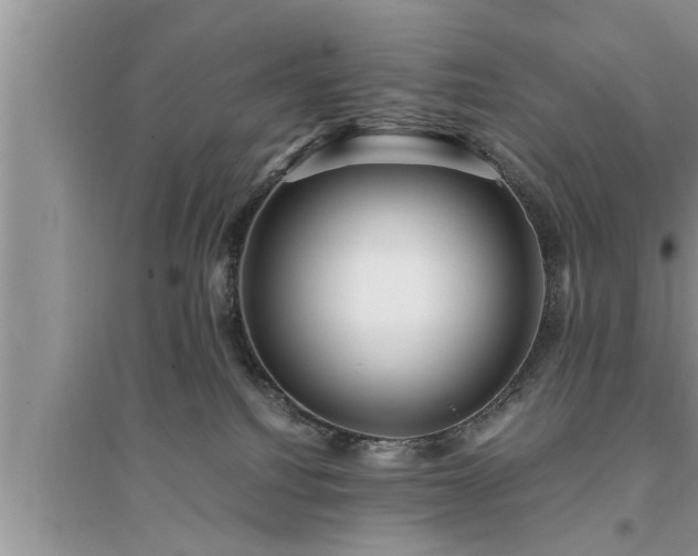 X0000095520088200712211312