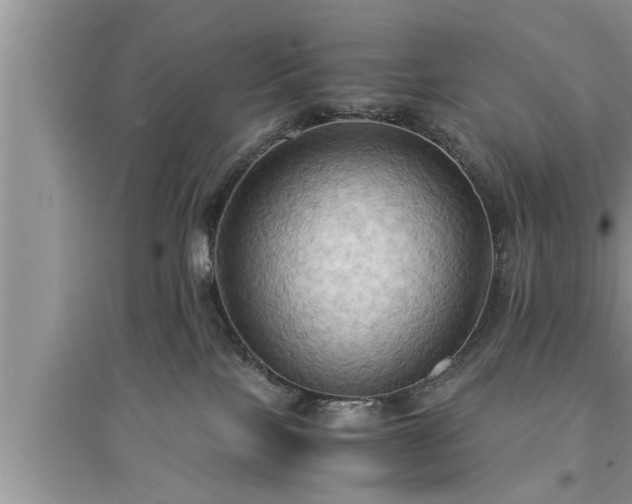 X0000095520089200712211312