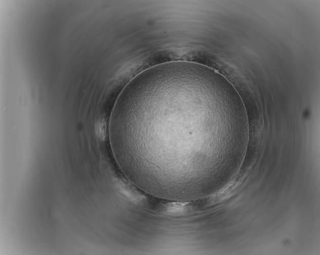 X0000095520090200712211312